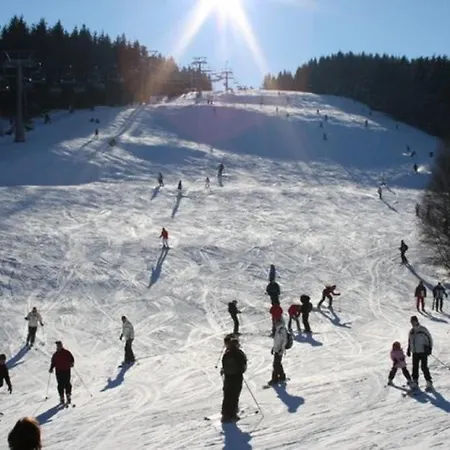 Stylish Apartment Near Ski Area In Winterberg Germany Winterberg